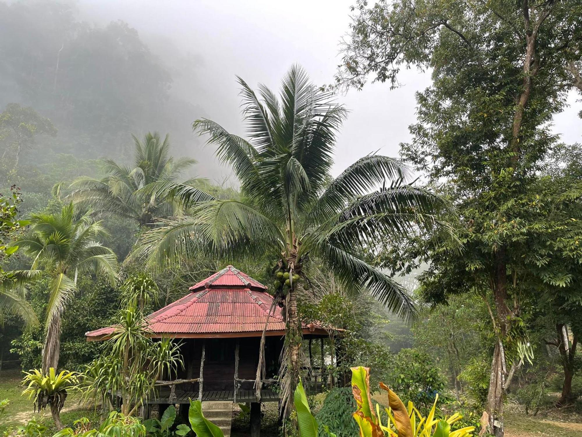 Khaosok Monkeys & River Camps Hotel Khao Sok National Park Exterior photo