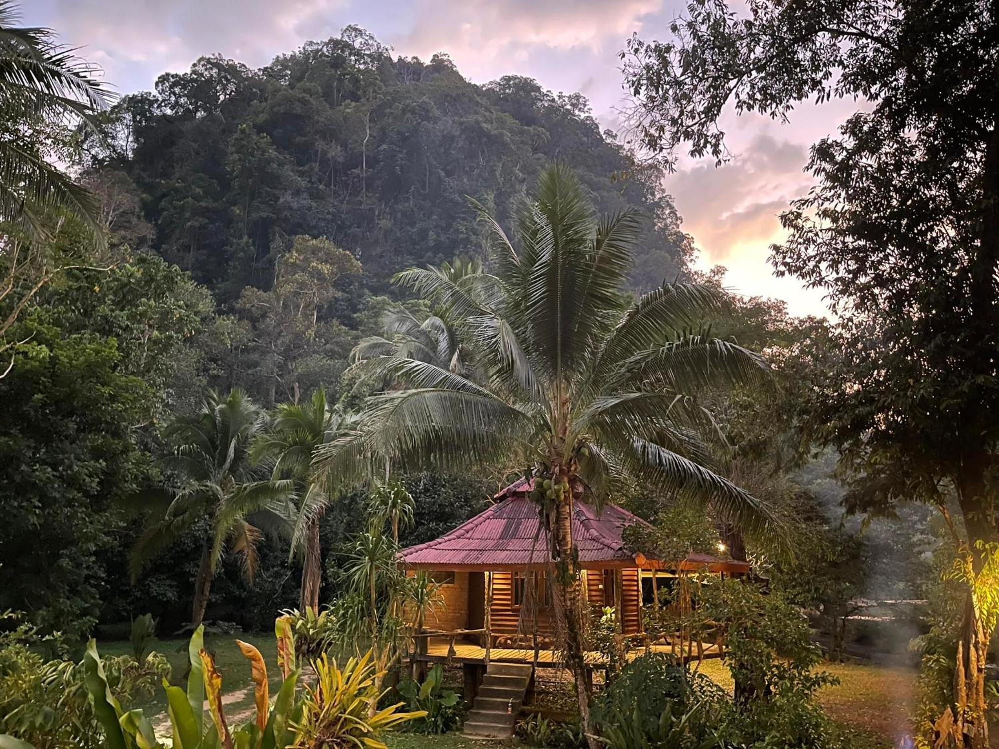 Khaosok Monkeys & River Camps Hotel Khao Sok National Park Exterior photo